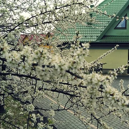 Centrum Wypoczynku I Rehabilitacji Umina Resort Czorsztyn